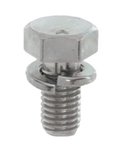 Trimmed Head Bolt With Spring Washer (P-2) Stainless Steel