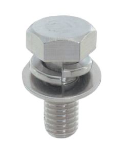 Trimmed Head Bolt With Washer & Spring Washer (P-3) Stainless Steel