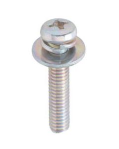 SEMS Pan Head Machine Screw With Washer & Spring Washer (P-3) Zinc Plating Cr3+