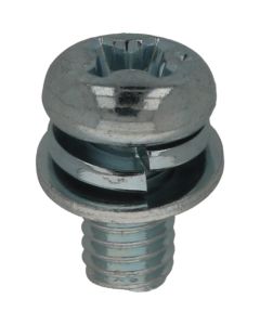 SEMS Pan Head Machine Screw With Small Washer & Spring Washer (P-4) Zinc Plating Cr3+