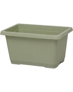 Planter 1อัน