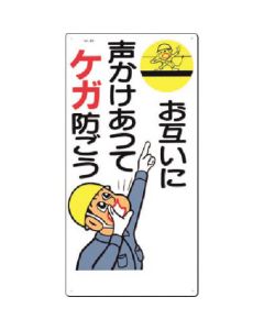 49 1แผ่น