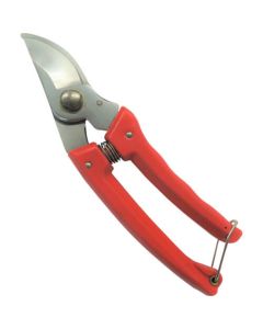 Chrome-plated scissors 1อัน