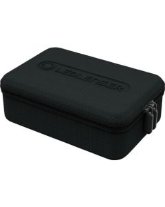 Case Type B