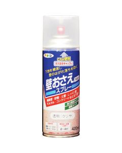 Wall Hoid Spray 6เส้น