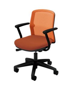 Anyza Chair 1ตัว