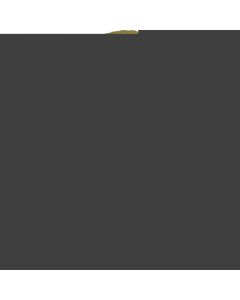 Elbow Pad ALTAFLEX360 ชุดละ 2อัน