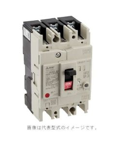 เบรกเกอร์ป้องกันไฟรั่วลงดิน รุ่น WS-V
