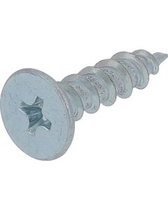 Xylem Screw กล่องละ 240 เส้น