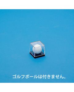Collection Case 1อัน