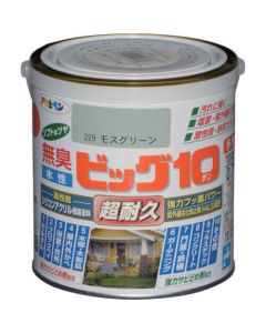 บิ๊ก 10 อเนกประสงค์สูตรน้ำ 0.7 ลิตร สีเขียวมอส