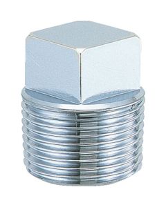 Plug(Chrome)
