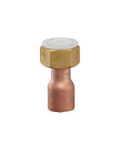 Copper Pipe Adapter c/w Nut 1อัน