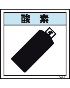 ตัวบ่งชี้ก๊าซ GAS-1 ออกซิเจน 300 x 300