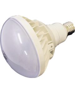 LED Bulb For Floodlight 1อัน