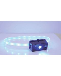 LED Ring 1อัน