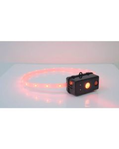 LED Ring 1อัน