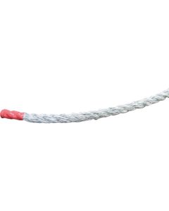 KP Rope  อันละ 1 อัน
