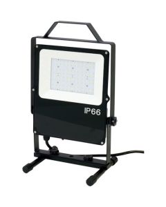 LED floodlight อันละ 1 อัน
