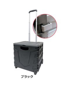 Carry Bag อันละ 1 อัน