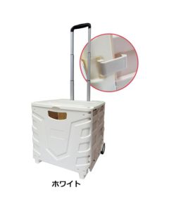 Carry Bag อันละ 1 อัน