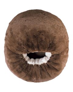 Cushion อันละ 1 อัน