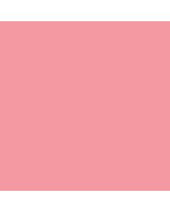 New Color Board  แผ่นละ 1 แผ่น
