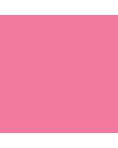 New Color Board  แผ่นละ 1 แผ่น