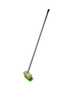 Deck Brush 30 อัน