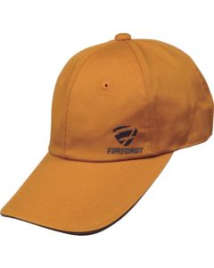 Forecast Cap