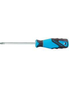TORX (RU) Driver
