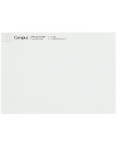 กระดาษสเปรดชีต Campus Report Pad B5, Ray SP735S5