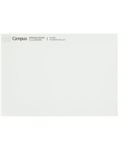 กระดาษสเปรดชีต Campus Report Pad ขนาด A4, Ray SP725S5