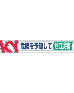 Horizontal Banner 1แผ่น