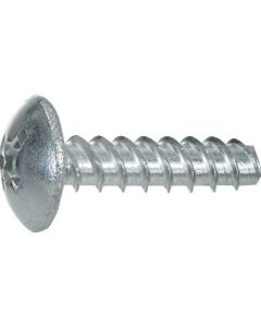 สกรูหัวแบนแรงบิดต่ำ ชนิด P สแตนเลส ขนาด M3 x 8 (50 ชิ้น)