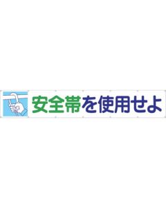 Horizontal Banner