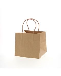 ถุงกระดาษแบบหิ้ว รุ่น P-Smooth Bag ขนาด 22-22 ซม. ไม่ฟอกสี ผิวเรียบ