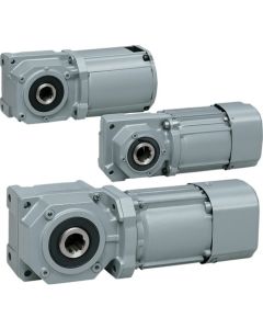 มอเตอร์เกียร์เหนี่ยวนำ MINI SERIES (15W-90W) - เพลาแบบกลวงร่วมศูนย์กลาง / เพลาแบบตันร่วมศูนย์กลาง - ชนิด F2
