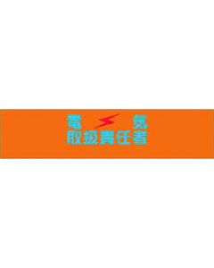 Helia Armband ผู้จัดการฝ่ายจัดการไฟฟ้า