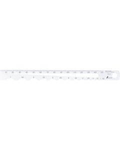 Radius Scale