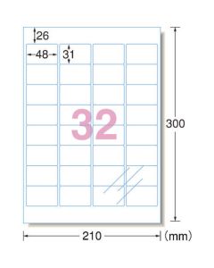 Transparent protective label