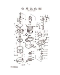 โรเตอร์