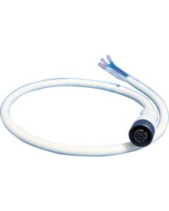 M12 Conector
