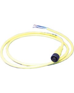M12 Conector