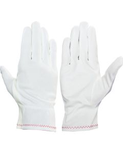 Wiping Gloves