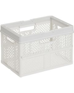 Mesh Container อันละ 1 อัน