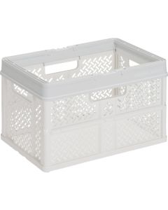 Mesh Container อันละ 1 อัน