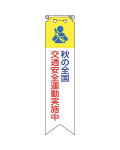 Vinyl Ribbon ชุดละ 10แผ่น