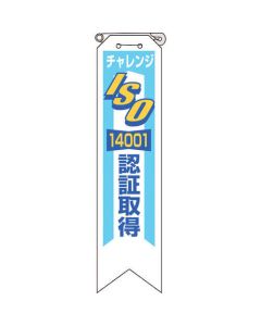 Vinyl Ribbon ชุดละ 10แผ่น