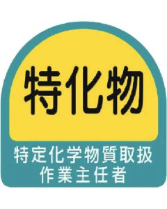 Safety Sticker for Helmet